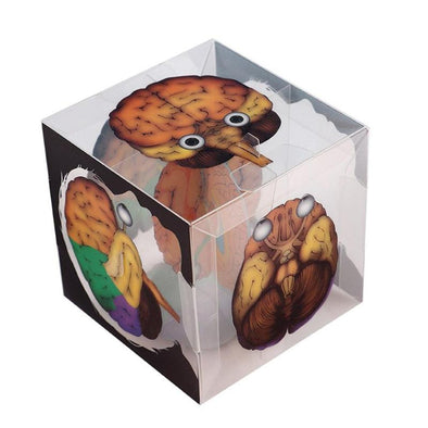 DIY Assembled Human Brain Cube Model Small Experimental Material Package Creative Experiment Handmade Assembled Mini Model Toys